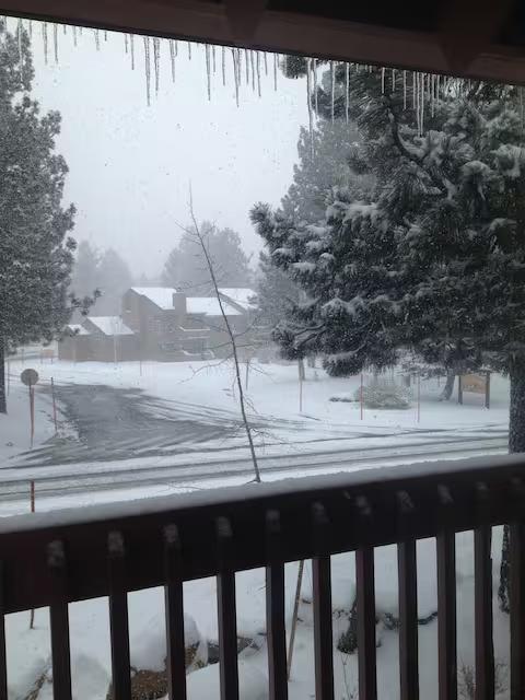 Mammoth Rustic Retreat  - Mammoth Lakes