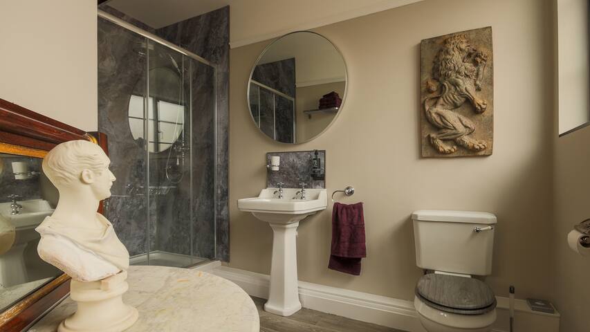 town-centre-unique-spacious-georgian-listed/