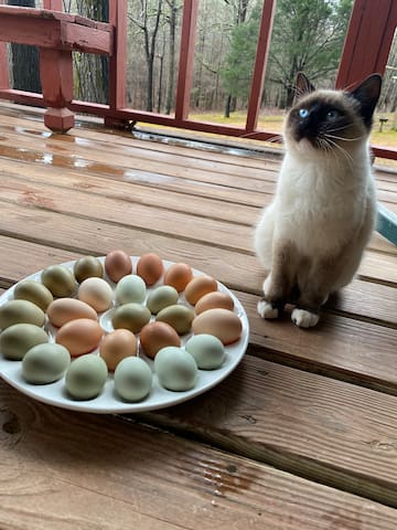 REDUCED RATE Baseball Regionals! PRIME location - - Oxford