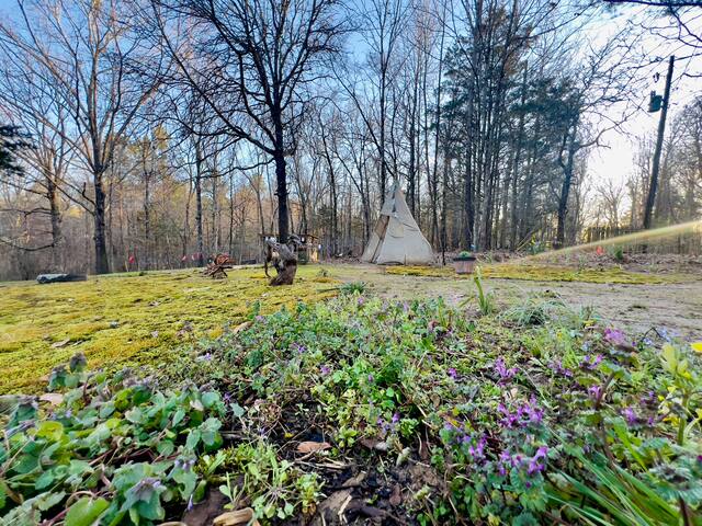 REDUCED RATE Baseball Regionals! PRIME location - - Oxford