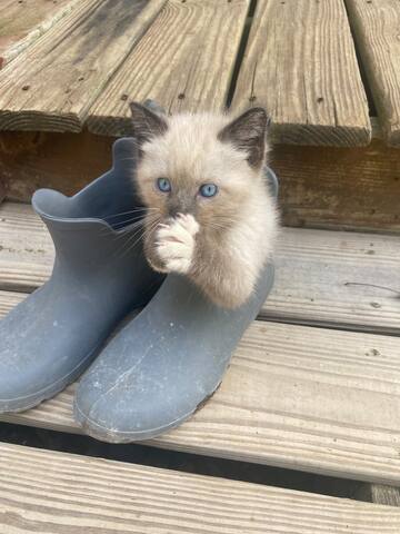 REDUCED RATE Baseball Regionals! PRIME location - - Oxford