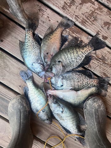 REDUCED RATE Baseball Regionals! PRIME location - - Oxford