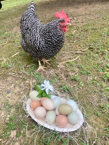 REDUCED RATE Baseball Regionals! PRIME location - - Oxford