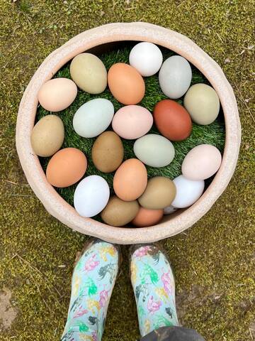 REDUCED RATE Baseball Regionals! PRIME location - - Oxford