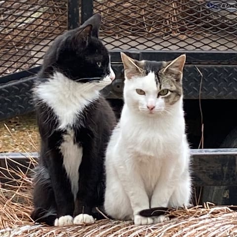 REDUCED RATE Baseball Regionals! PRIME location - - Oxford