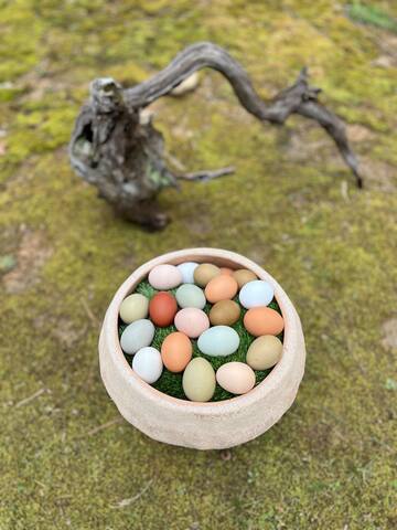 REDUCED RATE Baseball Regionals! PRIME location - - Oxford