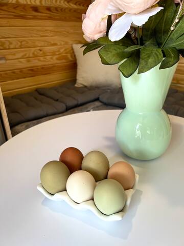 REDUCED RATE Baseball Regionals! PRIME location - - Oxford