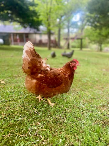 REDUCED RATE Baseball Regionals! PRIME location - - Oxford