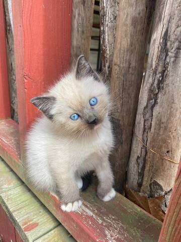 REDUCED RATE Baseball Regionals! PRIME location - - Oxford