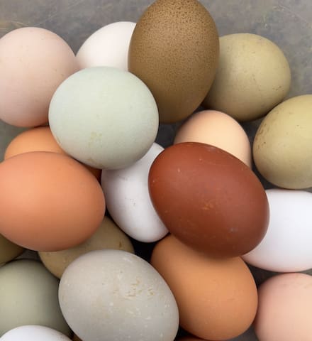 REDUCED RATE Baseball Regionals! PRIME location - - Oxford