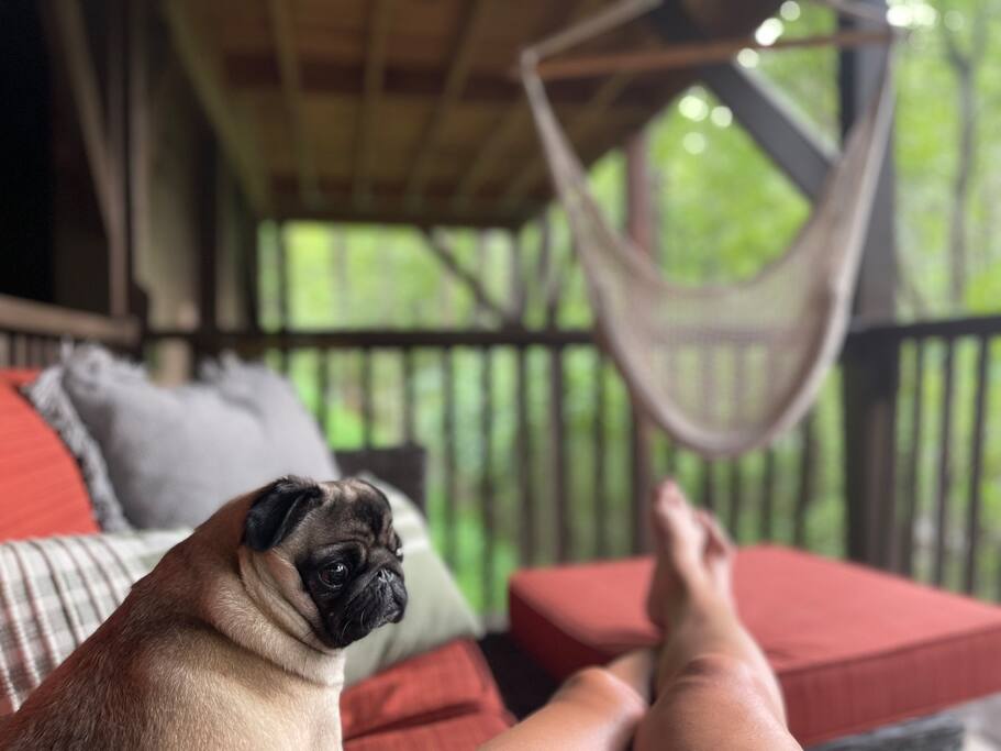Pets are welcome and love relaxing on the lower porch with hammock swings. 