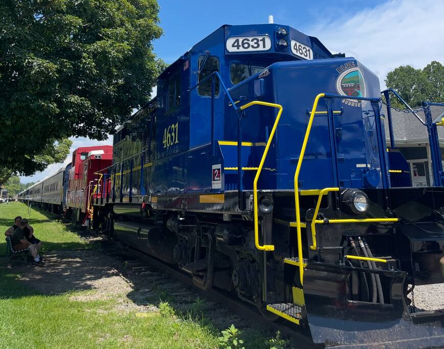 Take a ride on the Blue Ridge Scenic Railway. Book early!! 