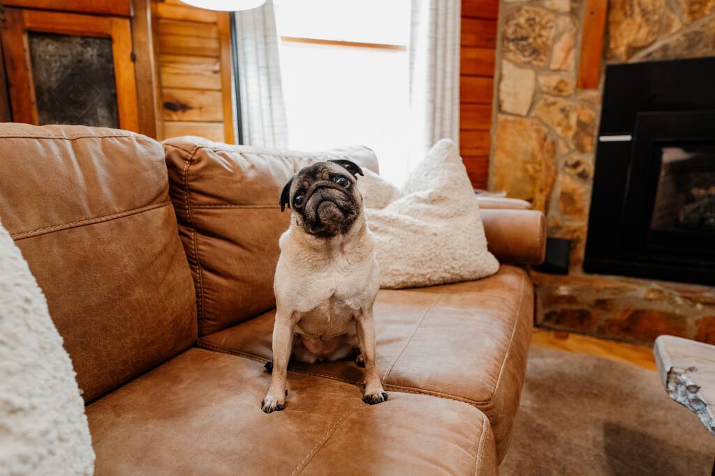 sunset-peak-or-mins-to-blue-ridgeellijay/