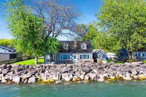 View of Backyard