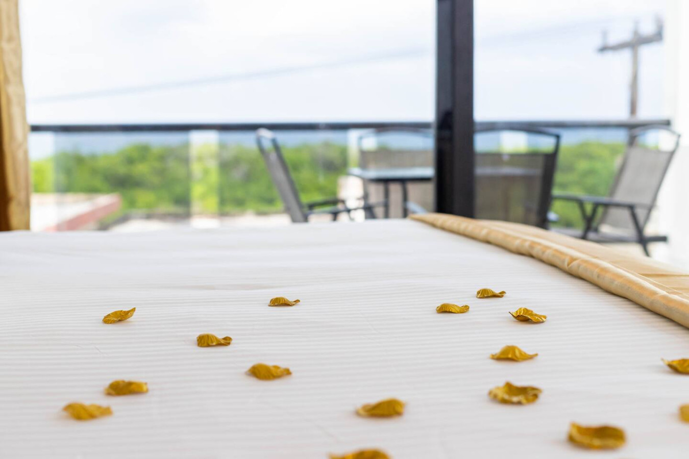 oceanview-penthouse-wbreakfast-50percent-off/