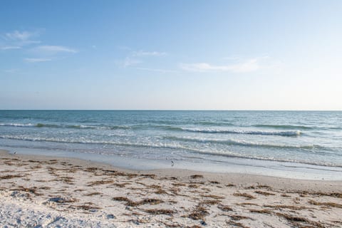 King Bed-Step to Madeira Beach-Heated Pool-Private