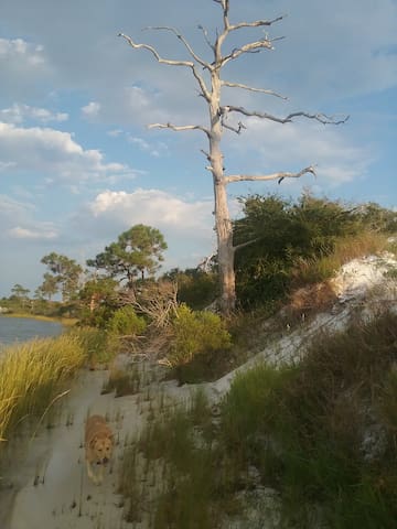 Nature's Nest Cottage on the Sound - Pets Welcome! - Mary Esther