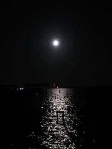 Nature's Nest Cottage on the Sound - Pets Welcome! - Mary Esther