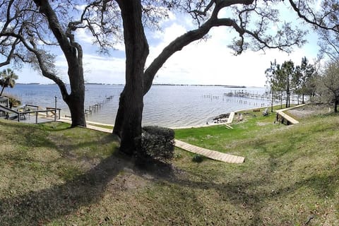 Nature's Nest Cottage on the Sound - Pets Welcome!