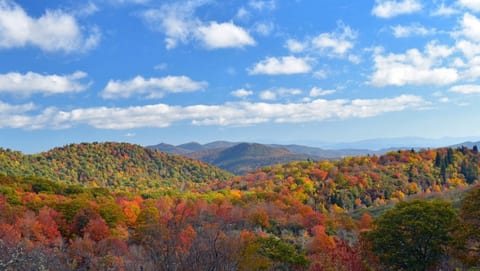 The views don't get better than this!