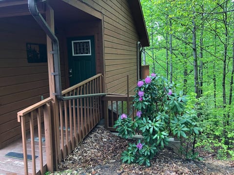 Gatlinburg Cabin, Hot Tub, 20 min to GSMNP