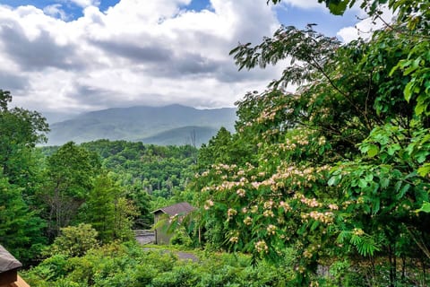 Gatlinburg Cabin, Hot Tub, 20 min to GSMNP