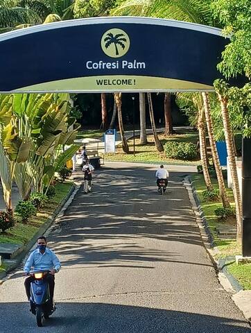 Family Royal Vacation - Cofresi Family Royal Vacation - Cofresi