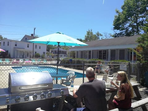 Cozy Stay | Pool & Parking