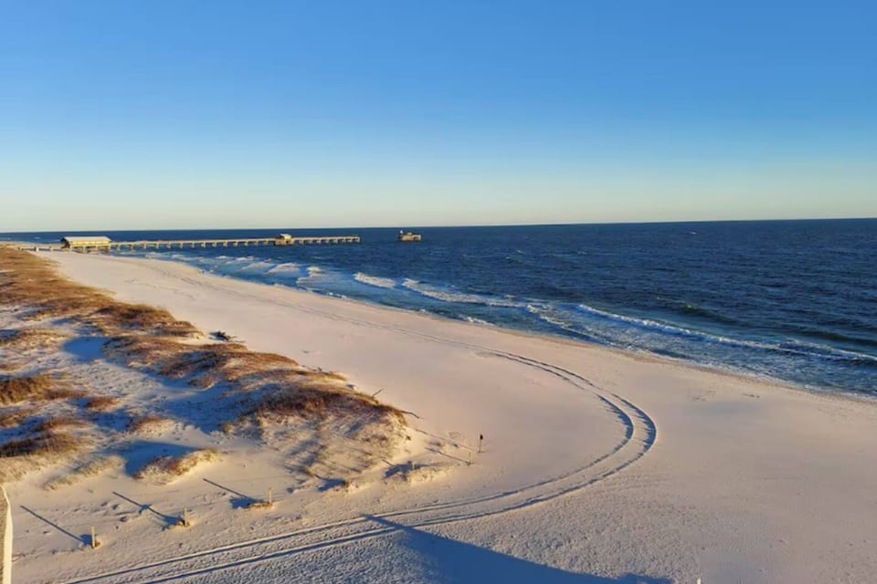 Whale of a Time! - Gulf Shores