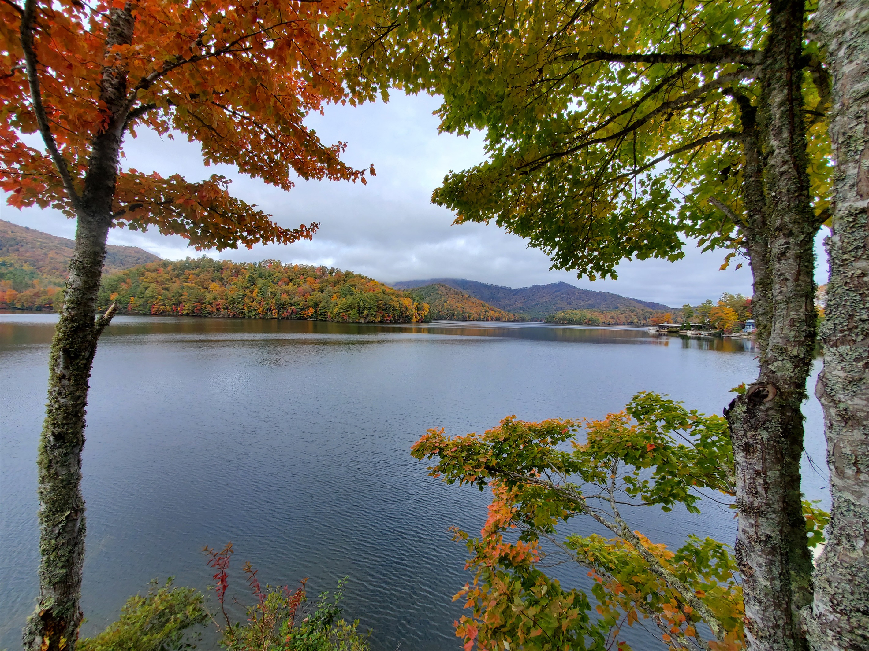 Come Enjoy "A" Point of View in the Fall to Observe the Stunning Fall Colors - A Point of View - Robbinsville