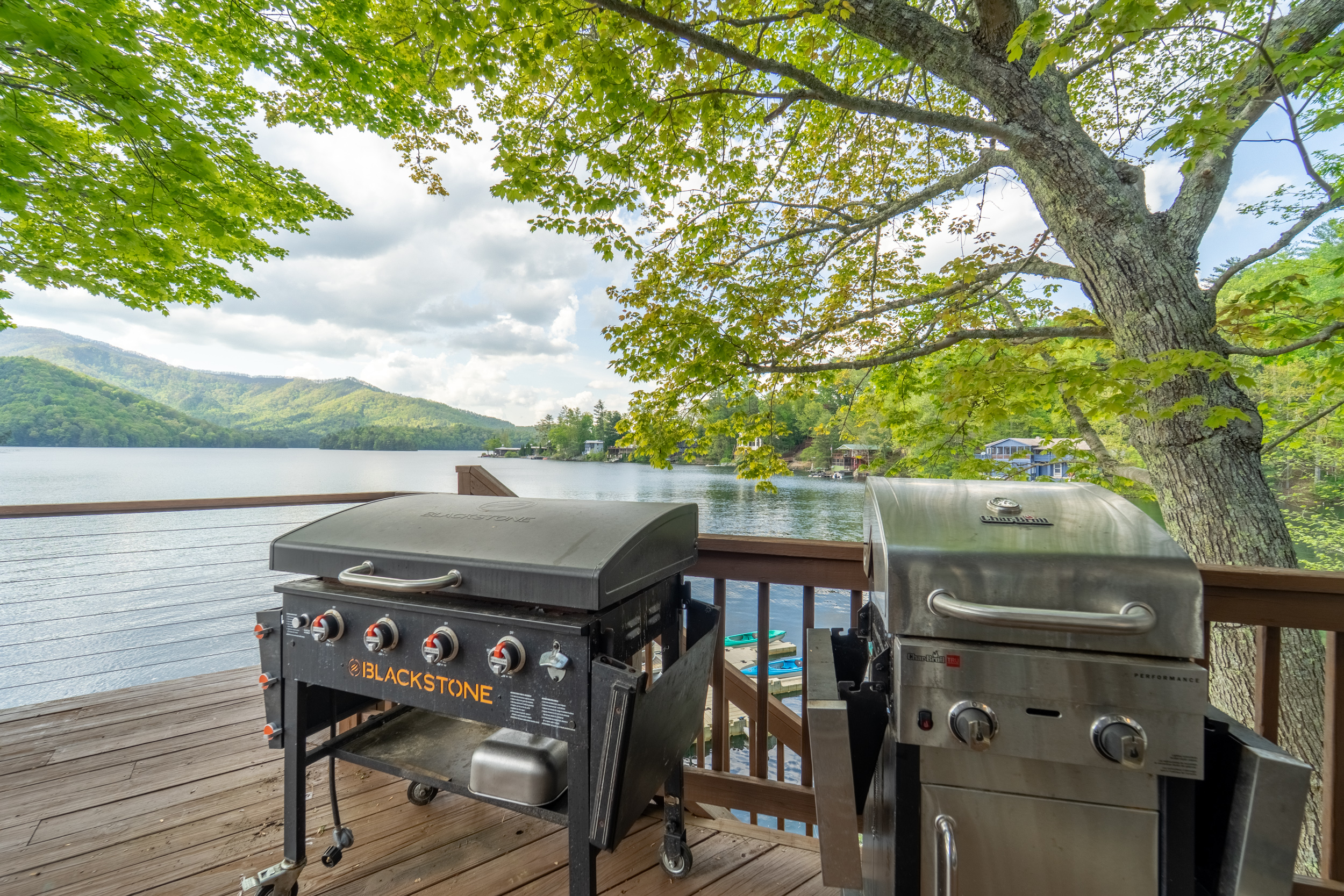 Blackstone and Gas Grill for Guest Use - A Point of View - Robbinsville
