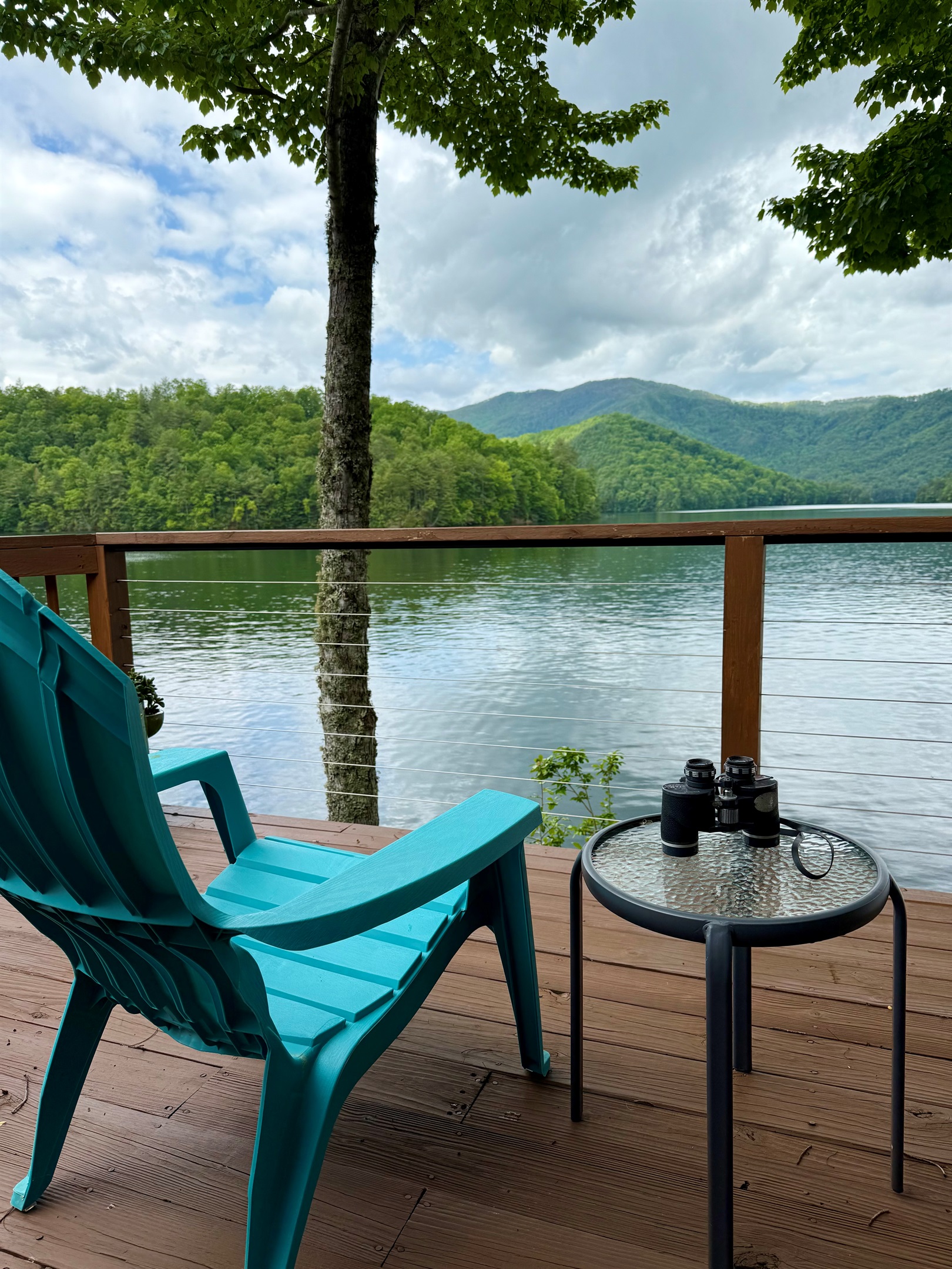 Relax on the Deck and View the Wildlife - A Point of View - Robbinsville