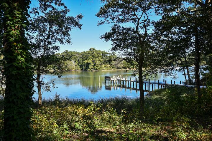 Dock (from backyard)