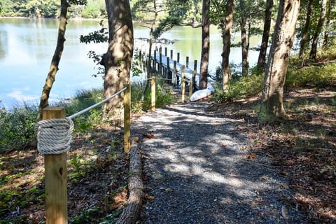 Path to the dock.