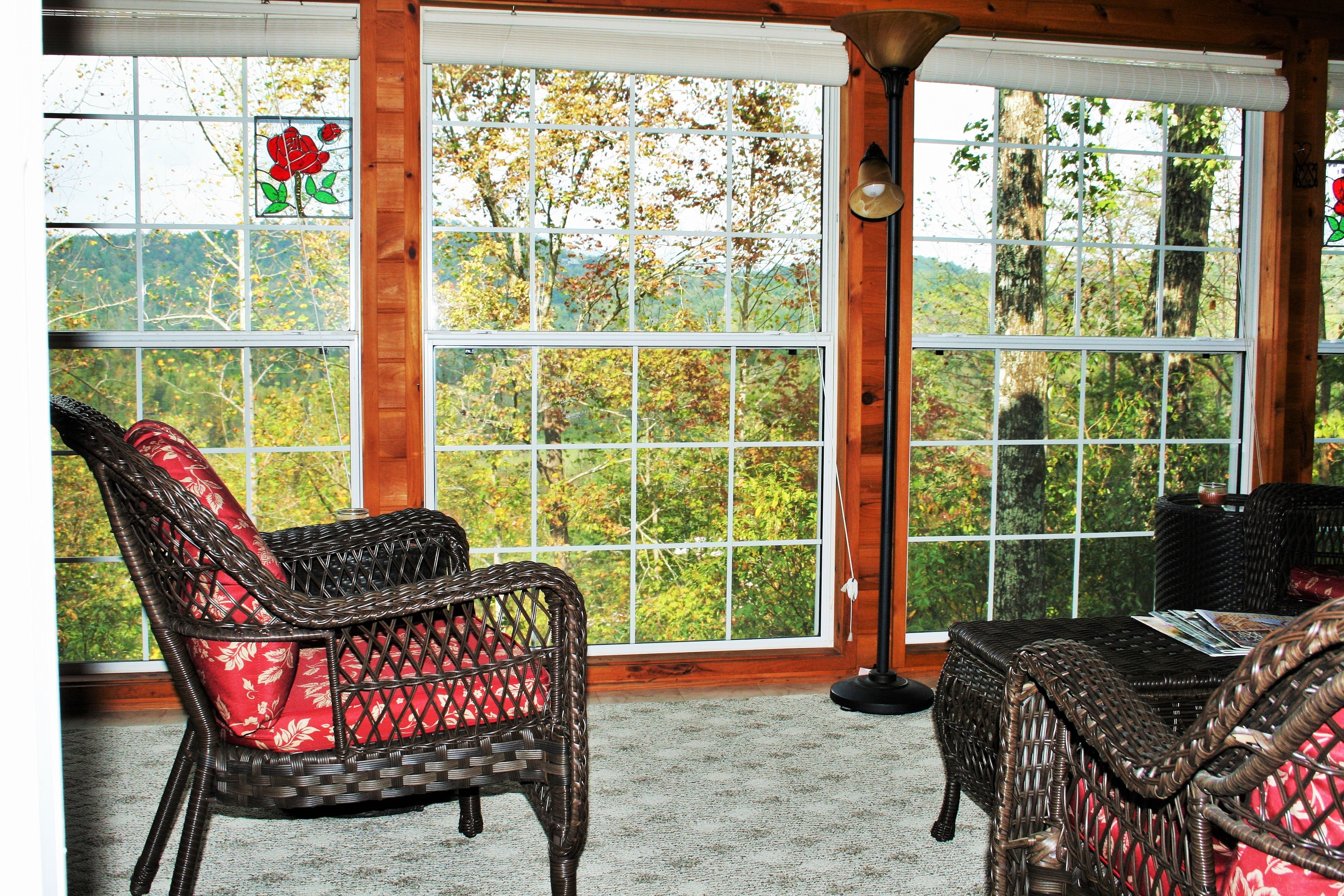 Fall View from Sunroom Windows