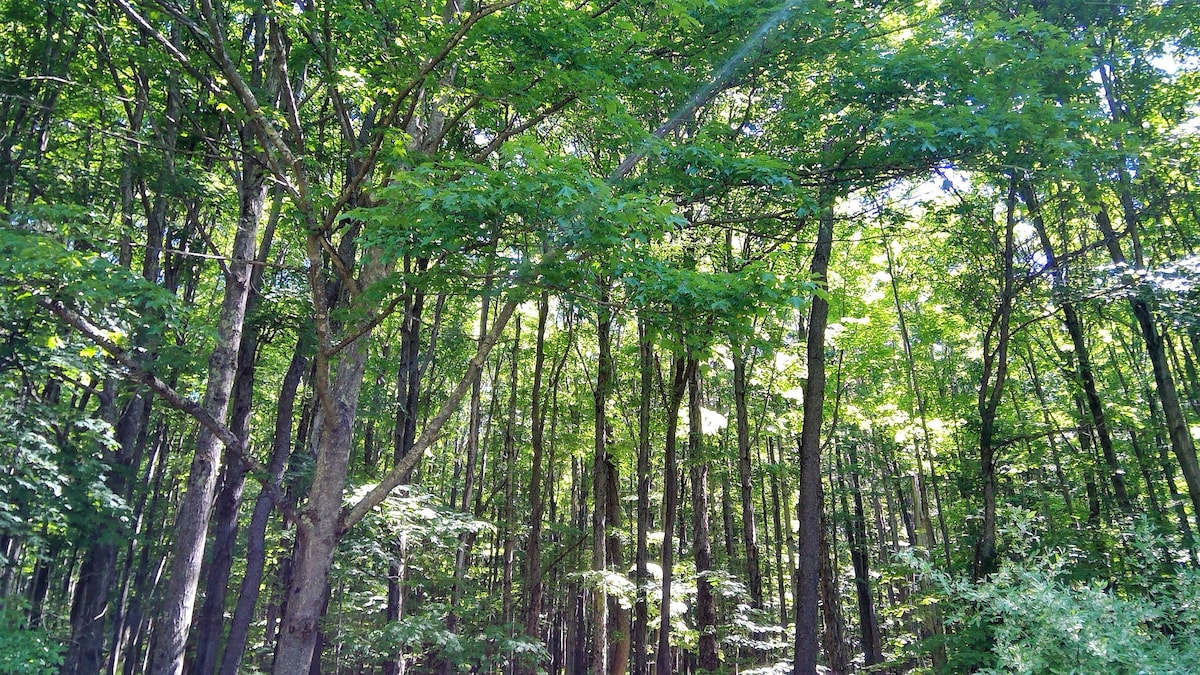 peaceful-catskill-mountain-getaway/