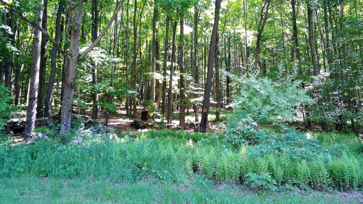 peaceful-catskill-mountain-getaway/