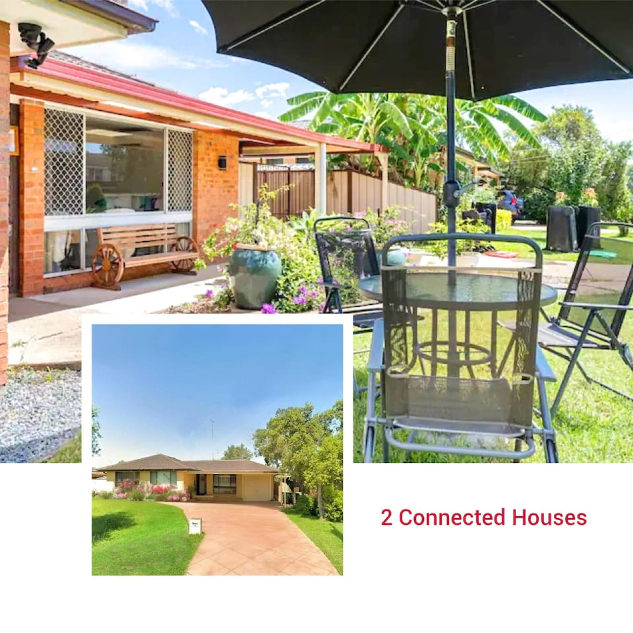 Twin treat near Blue Mountain