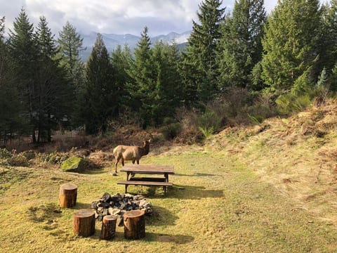 Enjoy this magnificent view from the porch!