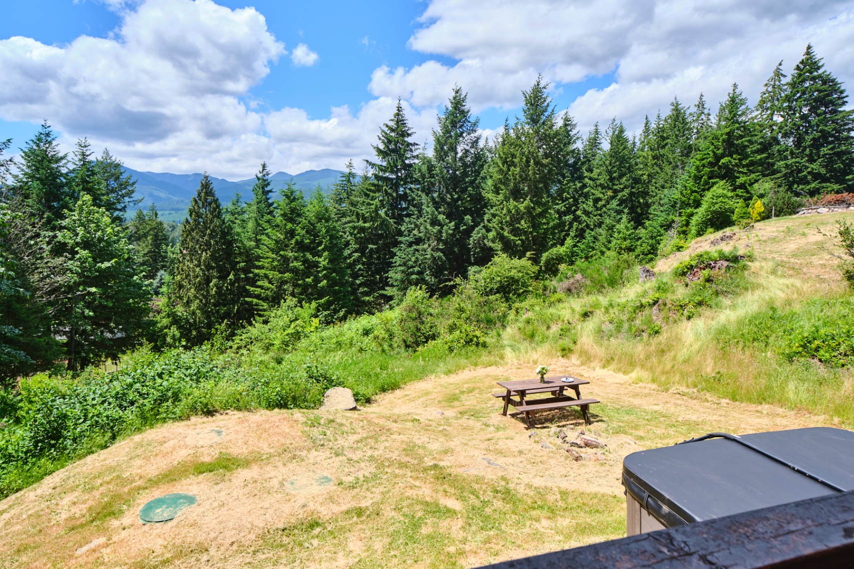 Mountain View Cabin
