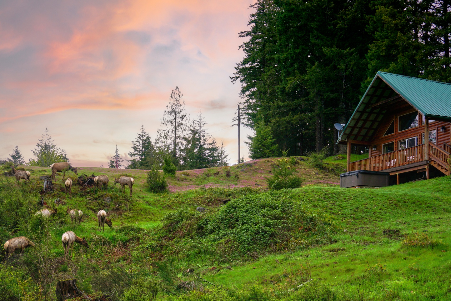 Mountain View Cabin