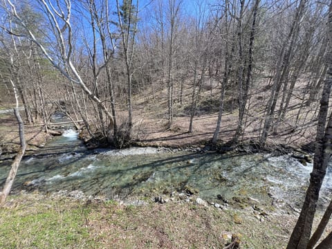 Green River Escape