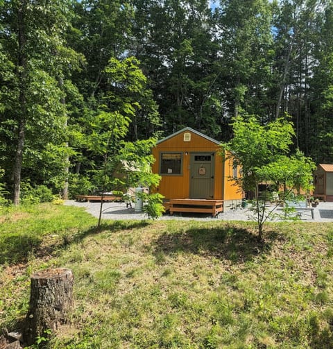 Cabin #2 Plus Glamping Tent combo