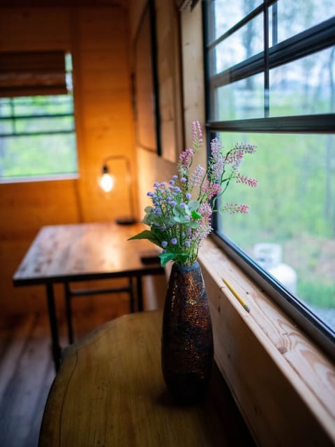 Cabin #2 on campground