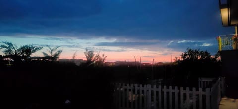 Garden at dusk
