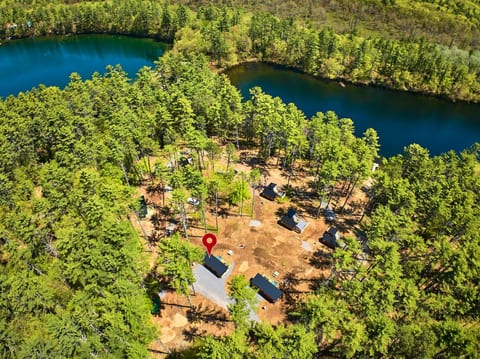 Secluded Modern Cabin Surrounded by Trees