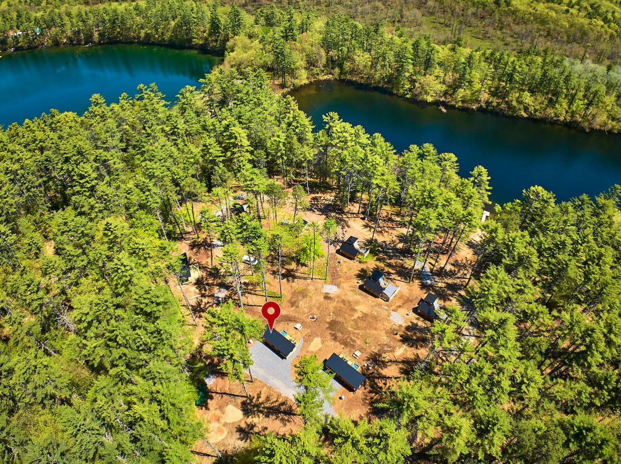 Secluded Modern Cabin Surrounded by Trees
