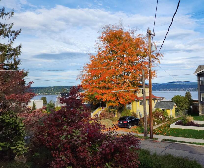 No Fees! Lake WA View | 15 Min > DT, SEA, WorldCup