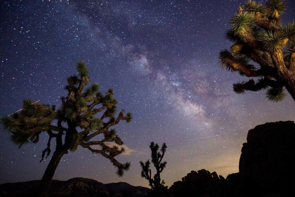 Adventure awaits at Joshua Tree National Park! ✨ Explore otherworldly landscapes, iconic Joshua trees, and breathtaking sunsets. Perfect for hiking, stargazing, or simply soaking in nature’s beauty.