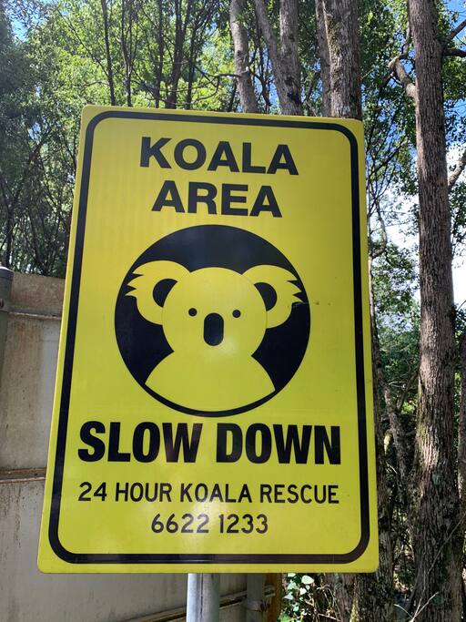 Plenty of wildlife in the area